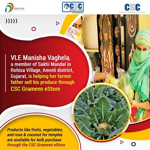 VLE Manisha Vaghela, a member of Sakhi Mandal in Rohisa Village, Amreli district …