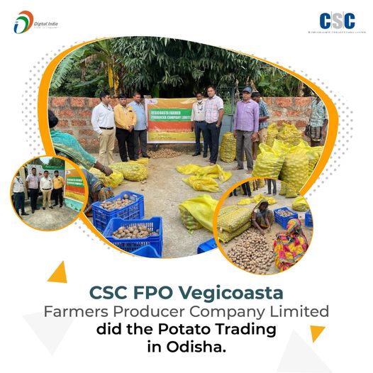 CSC FPO Vegicoasta Farmers Producer Company Limited did the Potato Trading in Od…